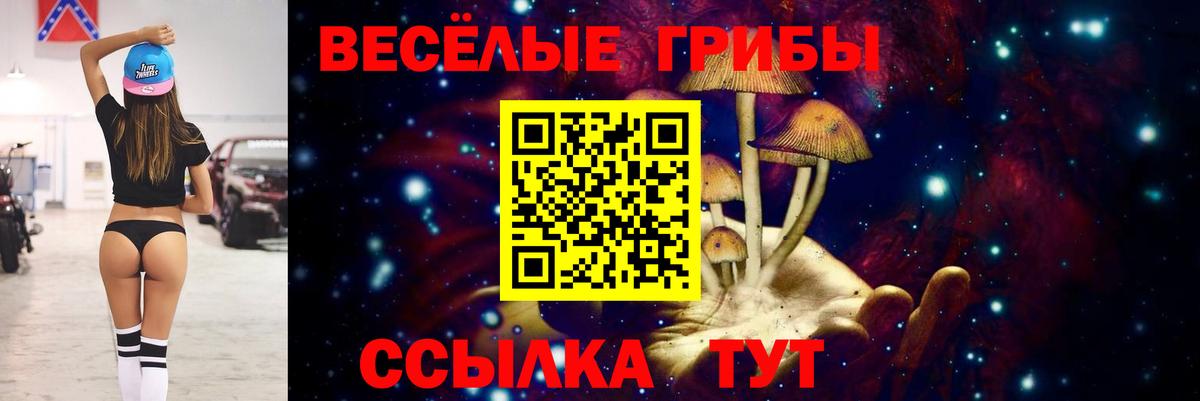 Видное  цена наркотик  Вход с VPN  Псилоцибиновые грибы мицелий  Псилоцибиновые грибы Psilocybine cubensis 