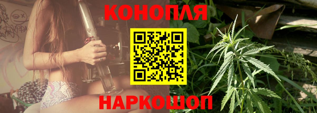 Бошки Шишки гибрид Видное